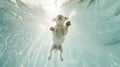 Generative AI Underwater funny photo of golden labrador retriever puppy in swimming pool play with fun - jumping, Royalty Free Stock Photo
