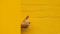 Generative AI Unrecognizable man shows like gesture through torn yellow wall keeps thumb up says you are best demo