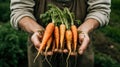 Generative AI, vegetables in the hands of a farmer in the garden, carrots from the ground