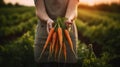 Generative AI, vegetables in the hands of a woman farmer in the garden, carrots from the ground