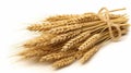 Wheat bundle 1696420682143 2