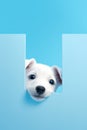 Generative ai: White dog on pastel blue background 3d