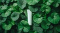 Generative AI White unlabeled tube placed on a pile of fresh Gotu kola leaves Branding mockup of organic product b