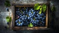 Generative AI Wooden box with grapes Fresh grape with leaves in a wooden box Big clusters of ripe blue grapes in a Royalty Free Stock Photo