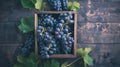 Generative AI Wooden box with grapes Fresh grape with leaves in a wooden box Big clusters of ripe blue grapes in a Royalty Free Stock Photo