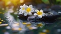 Generative AI Zen spa concept background - Zen massage stones with frangipani plumeria flower in water reflection Royalty Free Stock Photo