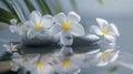 Generative AI Zen spa concept background - Zen massage stones with frangipani plumeria flower in water reflection Royalty Free Stock Photo