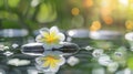 Generative AI Zen spa concept background - Zen massage stones with frangipani plumeria flower in water reflection Royalty Free Stock Photo