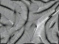 Generative fluffy backdrop - computer generated chaos theory background or texture with gathers