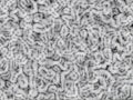 Generative fluffy backdrop - computer generated furry design plexus background or texture with folds