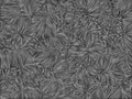 Generative stochastic geometry backdrop computer generated filamentous design - gray downy complex background or texture