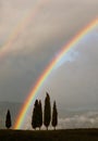 Generic background with cypress trees and double rainbow