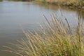 Bayou Lafourche, Louisiana