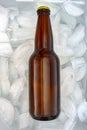 A generic brown beer bottle on ice