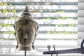 Generic buddha head statue on summer windowsill with electric violin