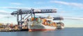 Generic container ships in port, panorama