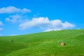 Generic green hilly farmland with dairy cows and blue sky