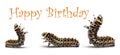 Happy birthday card design with three caterpillars