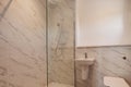 Domestic cloakroom with shower cubicle