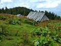 Generic old village house Royalty Free Stock Photo