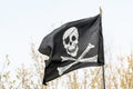 Generic pirate flag blowing in the wind towards cloudy grey sky in a rainy day Royalty Free Stock Photo