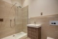 Luxury fitted shower room washroom in domestic home