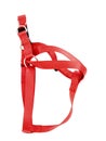 Generic, unbranded red dog harness, isolated on white.