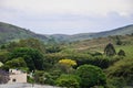 The generic vegetation of the city of AndrelÃ¢ndia in Minas Gerais Royalty Free Stock Photo