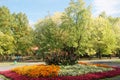 Generic vegetation in Park Slaski in Chorzow, Poland