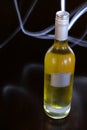 Generic White Wine Bottle Royalty Free Stock Photo