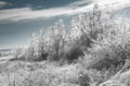 Generic winter landscape Royalty Free Stock Photo