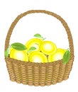 Generous harvest. Fresh juicy lemons in a basket. The fruit is tasty and fragrant. Refined treat is good for health. Vector