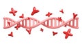 Genes DNA helix pink and X chromosome, red Y axis. Genetics and heredity of humans on white background. objects related to science