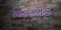 GENESIS - Glowing Neon Sign on stonework wall - 3D rendered royalty free stock illustration