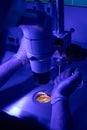 Genetic abnormalities laboratory worker examining cells under microscope