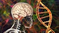 Genetic brain disorders, conceptual 3D illustration. Mutations in the DNA leading to brain diseases. Neurodegenerative
