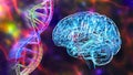 Genetic brain disorders, conceptual 3D illustration. Mutations in the DNA leading to brain diseases. Neurodegenerative Royalty Free Stock Photo