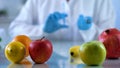 Genetic breeding of fruits in lab, biology scientist analyzing food quality