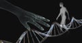 Genetic DNA of human transparent Royalty Free Stock Photo