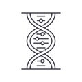 Genetic dna icon, linear isolated illustration, thin line vector, web design sign, outline concept symbol with editable Royalty Free Stock Photo