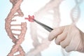 Genetic engineering and gene manipulation concept Royalty Free Stock Photo