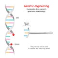 Genetic engineering. remove genes from DNA. CRISPR