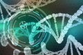 Genetic Engineering. The study of the structure of DNA and RNA, the introduction of changes at the gene level Royalty Free Stock Photo