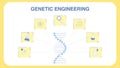 Genetic Engineering Vector Web Banner Template
