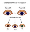 Genetic inheritance of eye color. Brown, blue, green eyes. Infographics.