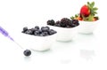 Genetic Modification, blueberry, blackberry, strawberry, fruit, Royalty Free Stock Photo