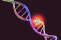 Genetic mutation, conceptual 3D illustration. Double stranded DNA with mutation in a gene. Concept for genetic disorder Royalty Free Stock Photo