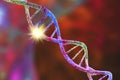 Genetic mutation, conceptual 3D illustration. Double stranded DNA with mutation in a gene. Concept for genetic disorder Royalty Free Stock Photo