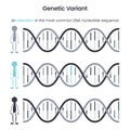 Genetic Variant educational science vector illustration graphic