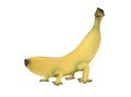Genetically modified banana with legs